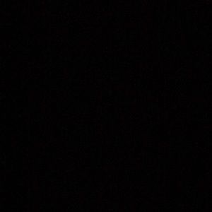 Meet your Posher, Pat